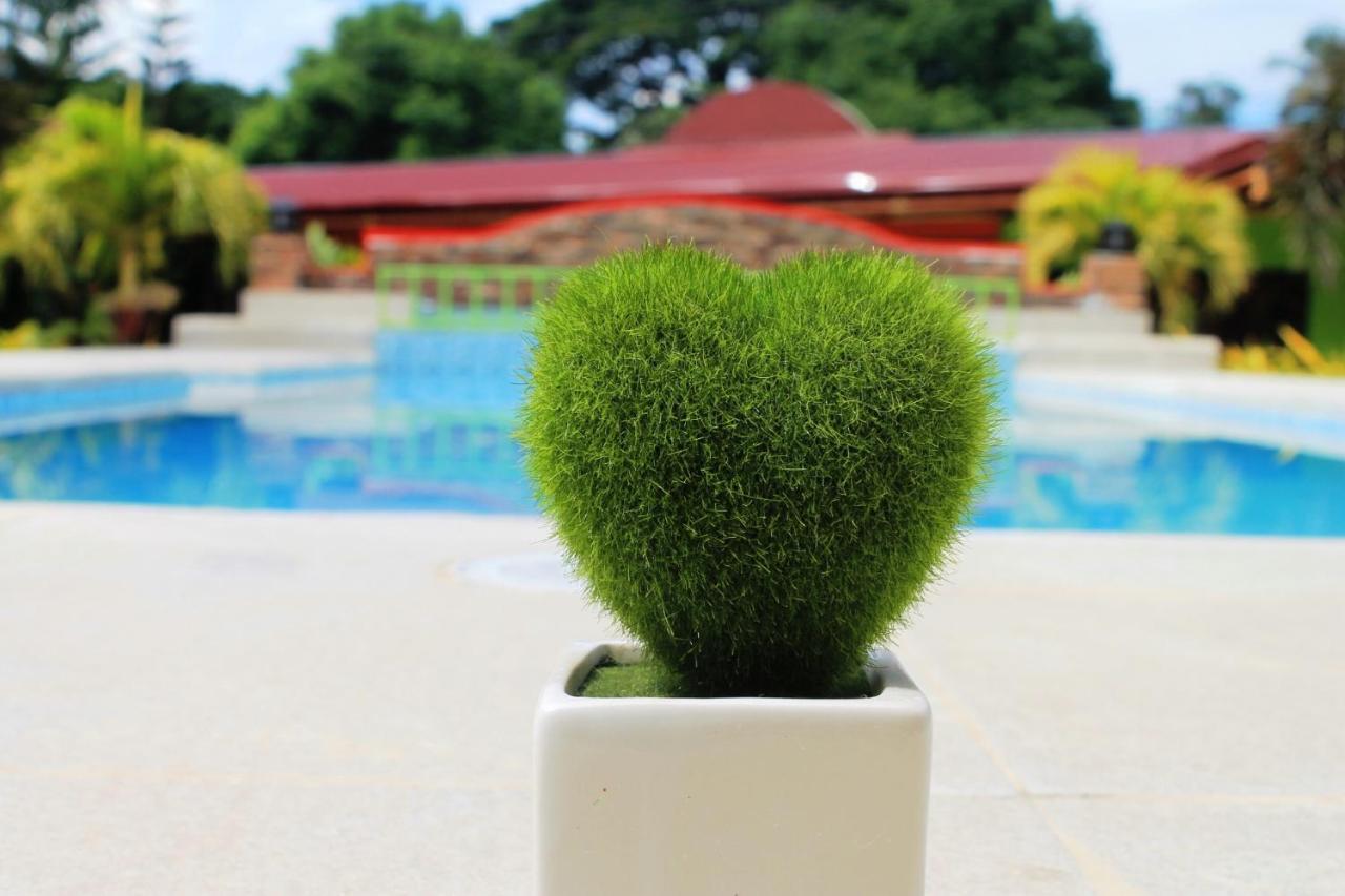 Green Park Tourist Inn Puerto Princesa Екстер'єр фото